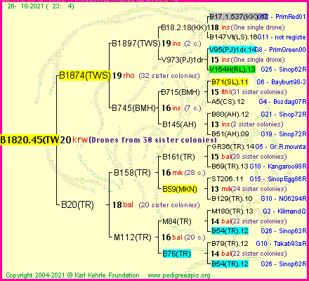 Pedigree of B1820.45(TWS) :
four generations presented
it's temporarily unavailable, sorry!