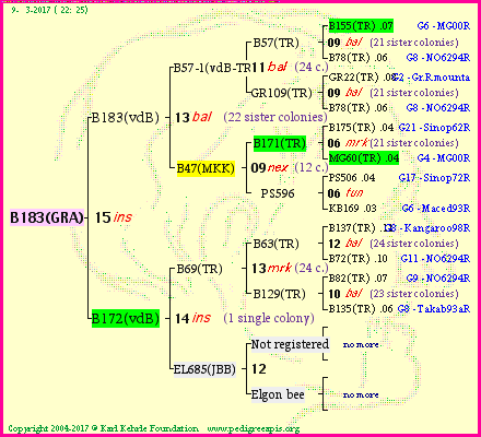 Pedigree of B183(GRA) :
four generations presented<br />it's temporarily unavailable, sorry!