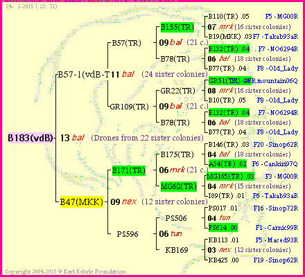 Pedigree of B183(vdB) :
four generations presented