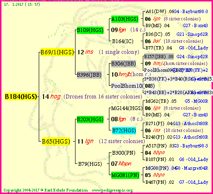 Pedigree of B184(HGS) :
four generations presented
it's temporarily unavailable, sorry!