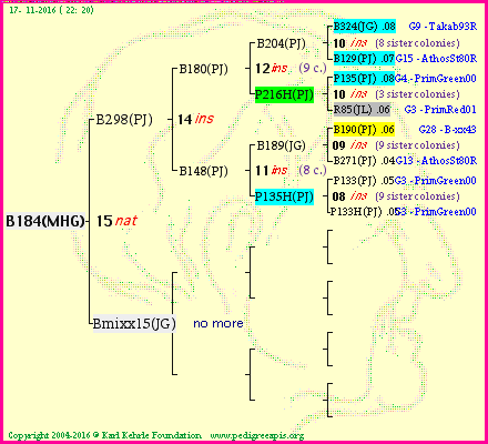 Pedigree of B184(MHG) :
four generations presented