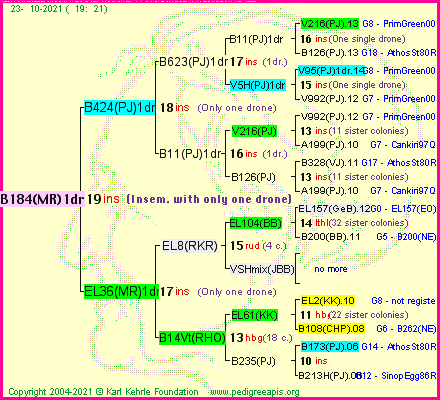 Pedigree of B184(MR)1dr :
four generations presented
it's temporarily unavailable, sorry!