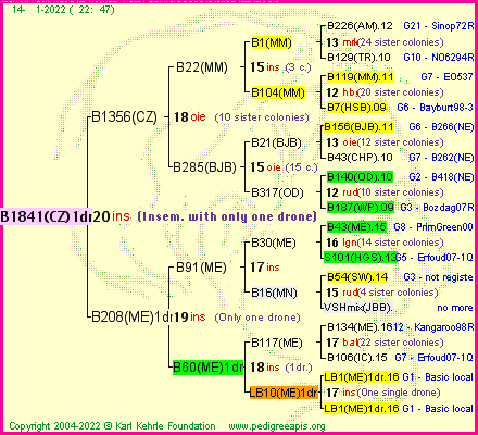 Pedigree of B1841(CZ)1dr :
four generations presented
it's temporarily unavailable, sorry!