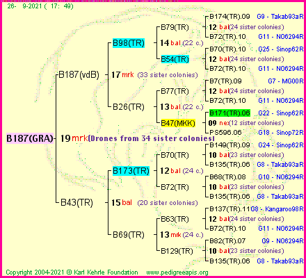 Pedigree of B187(GRA) :
four generations presented
it's temporarily unavailable, sorry!