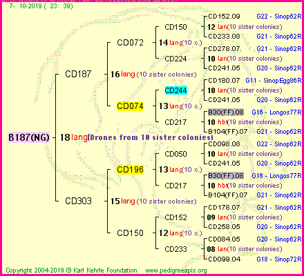Pedigree of B187(NG) :
four generations presented<br />it's temporarily unavailable, sorry!