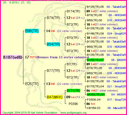 Pedigree of B187(vdB) :
four generations presented
it's temporarily unavailable, sorry!