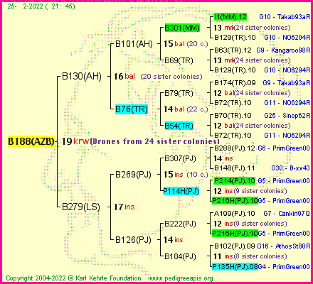 Pedigree of B188(AZB) :
four generations presented
it's temporarily unavailable, sorry!