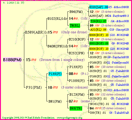 Pedigree of B188(PM) :
four generations presented