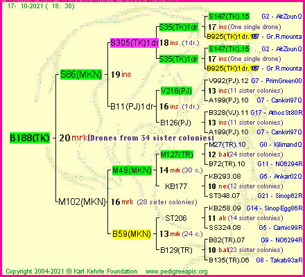 Pedigree of B188(TK) :
four generations presented
it's temporarily unavailable, sorry!