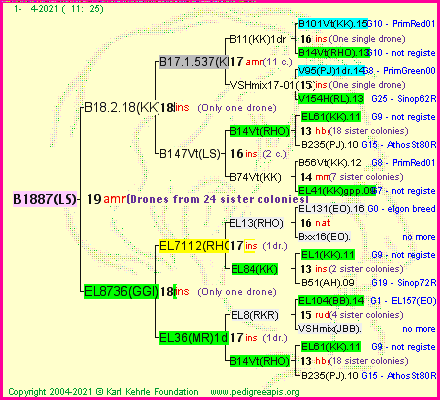 Pedigree of B1887(LS) :
four generations presented
it's temporarily unavailable, sorry!