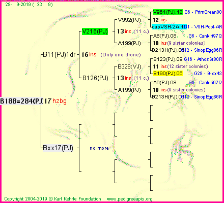 Pedigree of B188=284(PJ) :
four generations presented<br />it's temporarily unavailable, sorry!