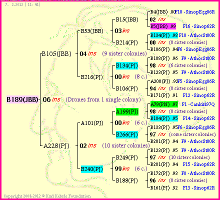 Pedigree of B189(JBB) :
four generations presented