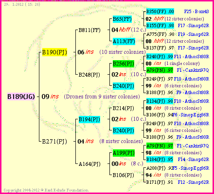 Pedigree of B189(JG) :
four generations presented