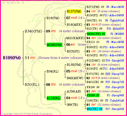 Pedigree of B189(PM) :
four generations presented