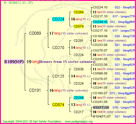 Pedigree of B189(VIP) :
four generations presented
it's temporarily unavailable, sorry!