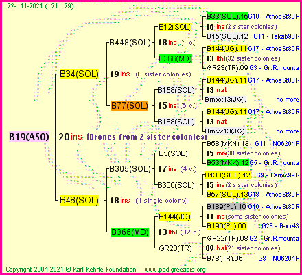 Pedigree of B19(ASO) :
four generations presented
it's temporarily unavailable, sorry!