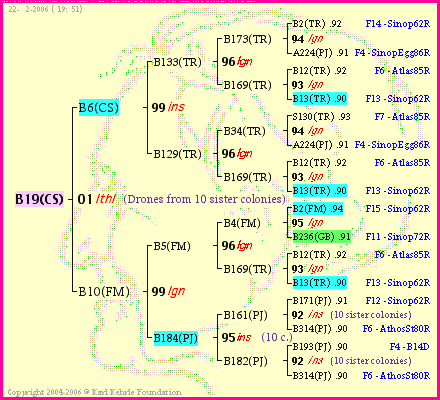 Pedigree of B19(CS) :
four generations presented<br />it's temporarily unavailable, sorry!