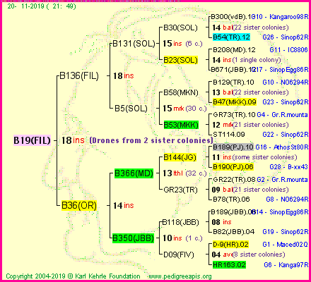 Pedigree of B19(FIL) :
four generations presented<br />it's temporarily unavailable, sorry!