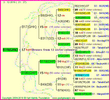 Pedigree of B19(GHK) :
four generations presented<br />it's temporarily unavailable, sorry!