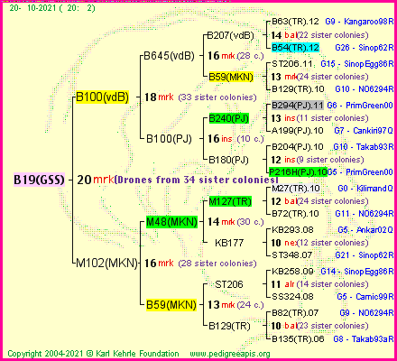 Pedigree of B19(GSS) :
four generations presented
it's temporarily unavailable, sorry!