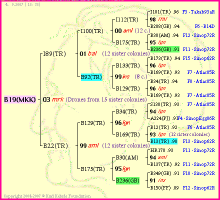 Pedigree of B19(MKK) :
four generations presented
it's temporarily unavailable, sorry!