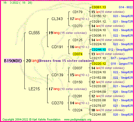 Pedigree of B19(NDE) :
four generations presented
it's temporarily unavailable, sorry!