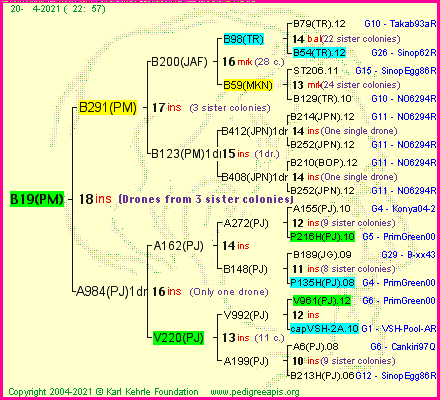 Pedigree of B19(PM) :
four generations presented
it's temporarily unavailable, sorry!