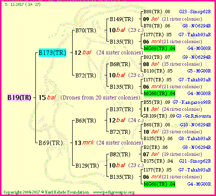 Pedigree of B19(TR) :
four generations presented
it's temporarily unavailable, sorry!