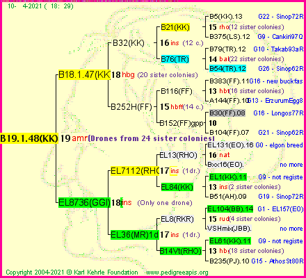 Pedigree of B19.1.48(KK) :
four generations presented
it's temporarily unavailable, sorry!