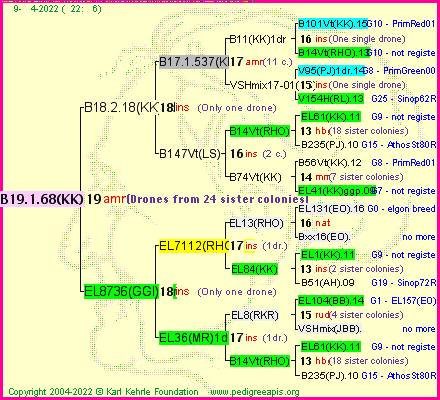 Pedigree of B19.1.68(KK) :
four generations presented
it's temporarily unavailable, sorry!