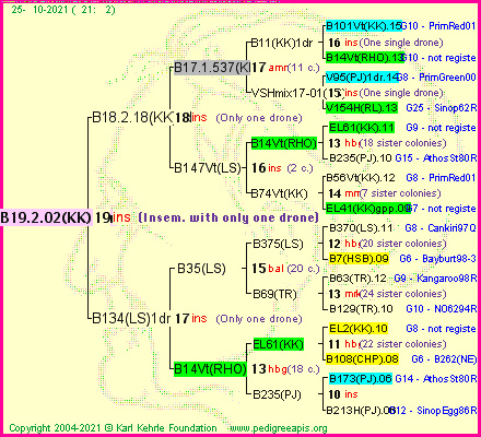 Pedigree of B19.2.02(KK)1dr :
four generations presented
it's temporarily unavailable, sorry!