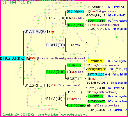 Pedigree of B19.2.33(KK)1dr :
four generations presented
it's temporarily unavailable, sorry!