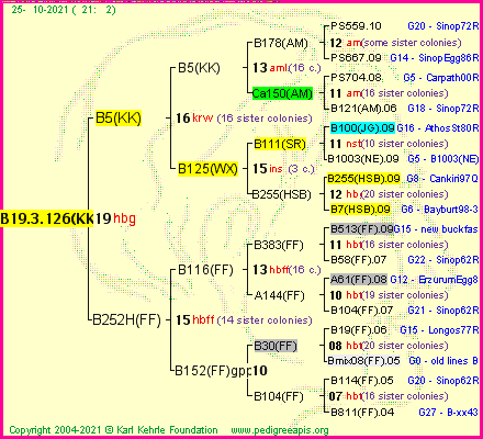 Pedigree of B19.3.126(KK) :
four generations presented
it's temporarily unavailable, sorry!