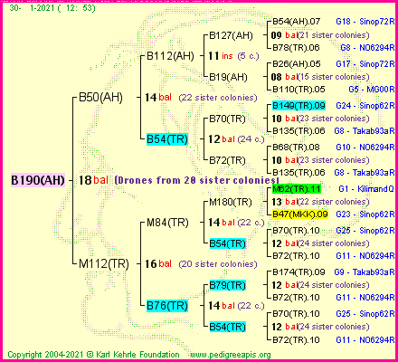 Pedigree of B190(AH) :
four generations presented
it's temporarily unavailable, sorry!