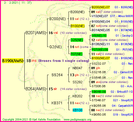 Pedigree of B190(AMS) :
four generations presented
it's temporarily unavailable, sorry!