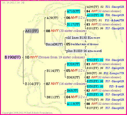 Pedigree of B190(FF) :
four generations presented