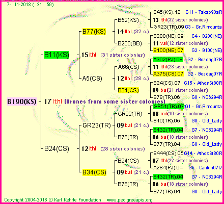 Pedigree of B190(KS) :
four generations presented<br />it's temporarily unavailable, sorry!