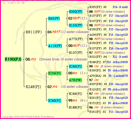 Pedigree of B190(PJ) :
four generations presented