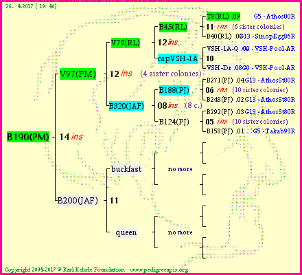 Pedigree of B190(PM) :
four generations presented