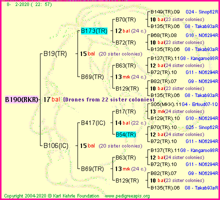 Pedigree of B190(RKR) :
four generations presented<br />it's temporarily unavailable, sorry!