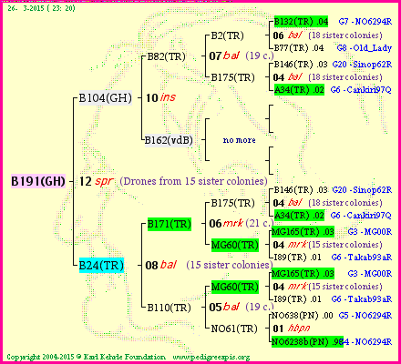 Pedigree of B191(GH) :
four generations presented