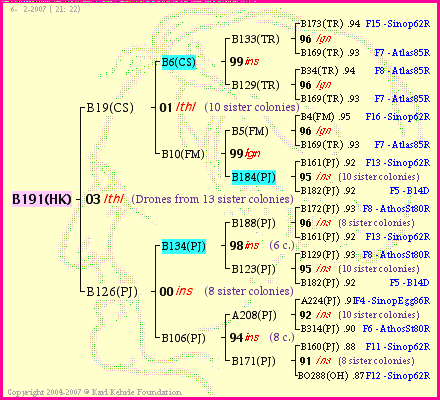 Pedigree of B191(HK) :
four generations presented