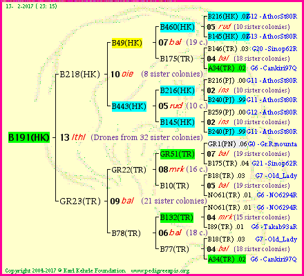 Pedigree of B191(HK) :
four generations presented