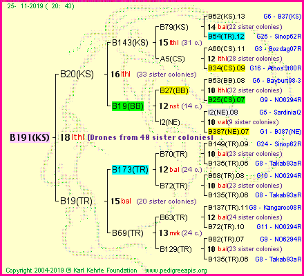 Pedigree of B191(KS) :
four generations presented<br />it's temporarily unavailable, sorry!