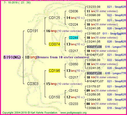 Pedigree of B191(NG) :
four generations presented<br />it's temporarily unavailable, sorry!