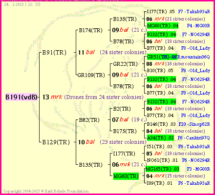 Pedigree of B191(vdB) :
four generations presented<br />it's temporarily unavailable, sorry!