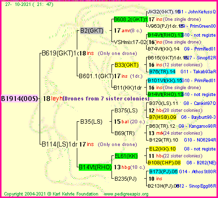 Pedigree of B1914(OOS) :
four generations presented
it's temporarily unavailable, sorry!