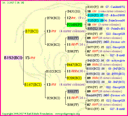 Pedigree of B192(BCI) :
four generations presented