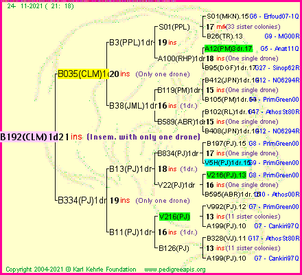 Pedigree of B192(CLM)1dr :
four generations presented
it's temporarily unavailable, sorry!