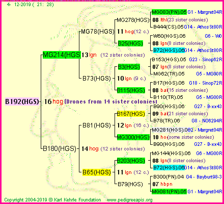 Pedigree of B192(HGS) :
four generations presented<br />it's temporarily unavailable, sorry!